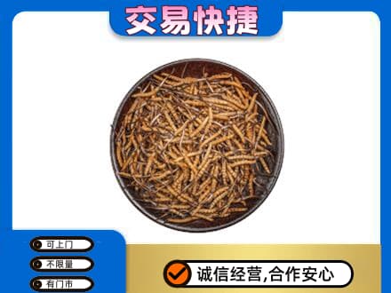 红河高价回收散虫草