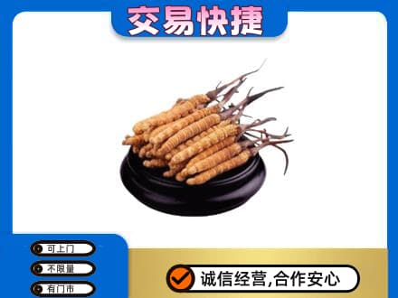 红河回收冬虫夏草多少钱每克